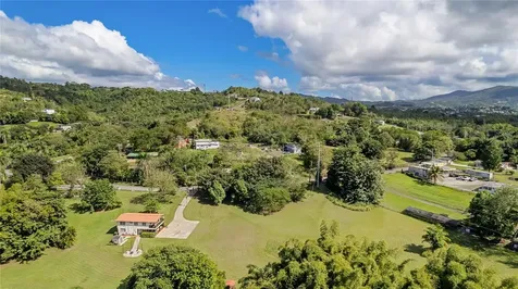 6882 Avenida Campo Bello Bo. Rincon Cidra PR 00739