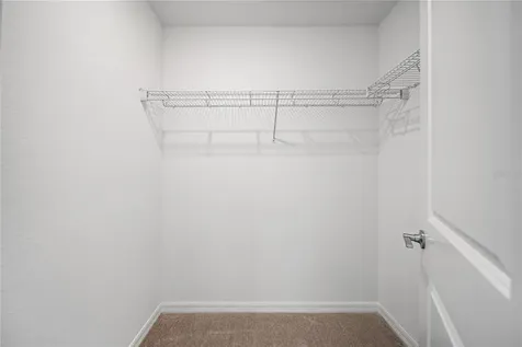 2085 Hallier Cove Wesley Chapel FL 33543