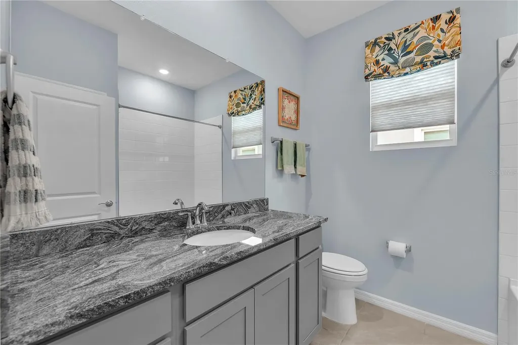 32313 Lexington Street Wesley Chapel FL 33543
