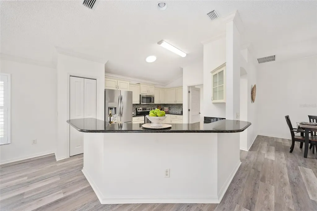3195 Mansfield Street The Villages FL 32162