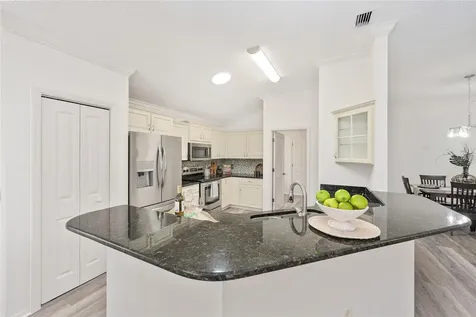 3195 Mansfield Street The Villages FL 32162