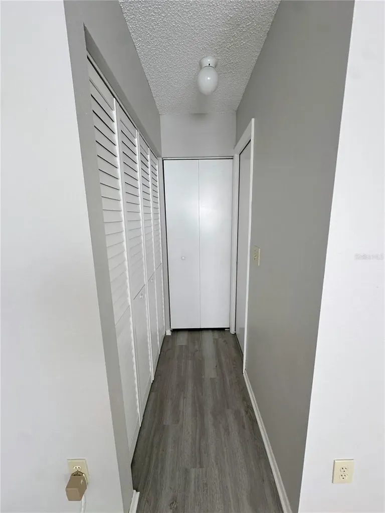 5401 Britwell Court Tampa FL 33624