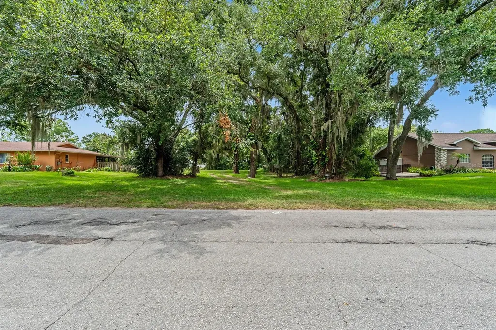 22244 Shoreside Drive Land O Lakes FL 34639