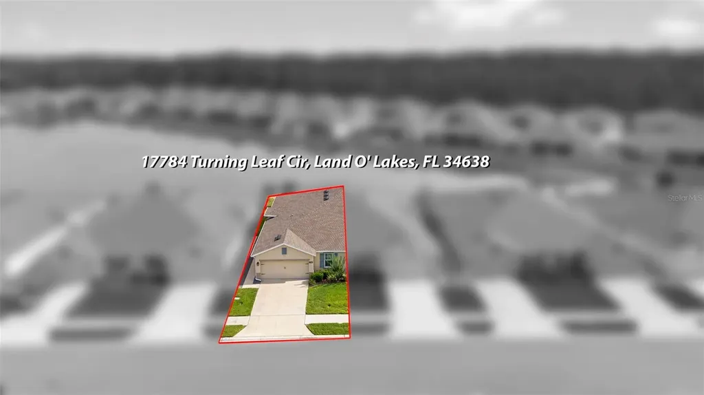 17784 Turning Leaf Circle Land O Lakes FL 34638