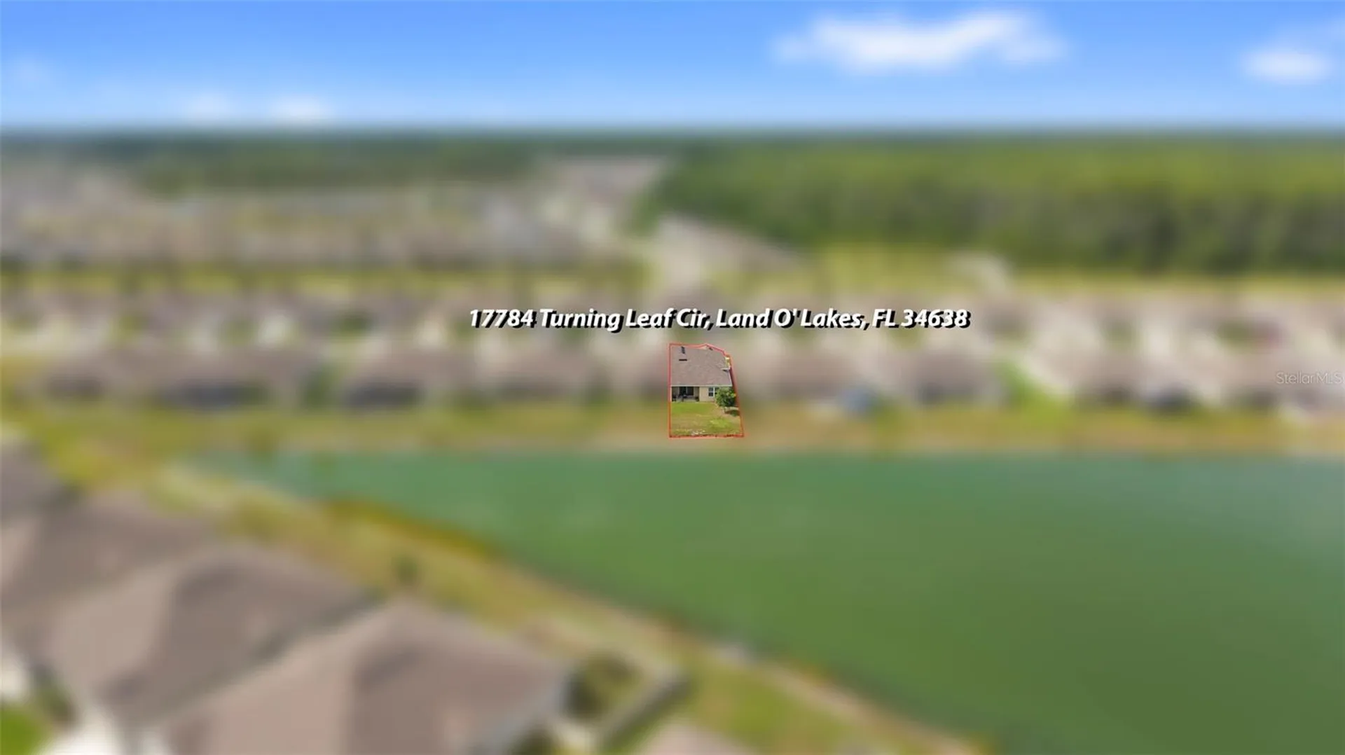 17784 Turning Leaf Circle Land O Lakes FL 34638