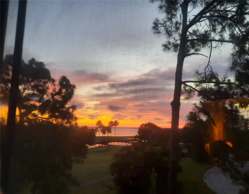 3400 Cove Cay Drive Clearwater FL 33760