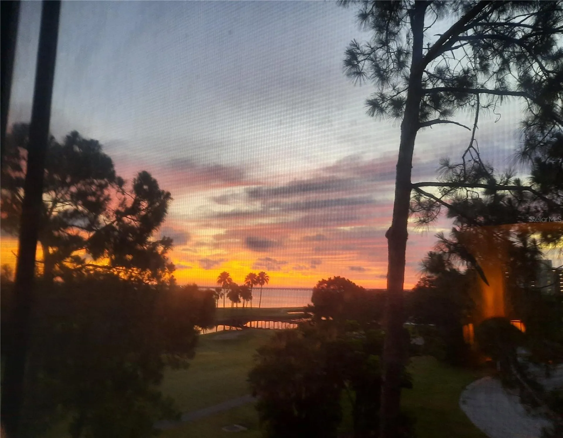 3400 Cove Cay Drive Clearwater FL 33760