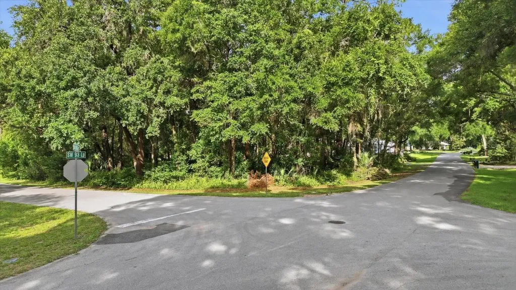 Lot 3 SW 93rd Loop Dunnellon FL 34432