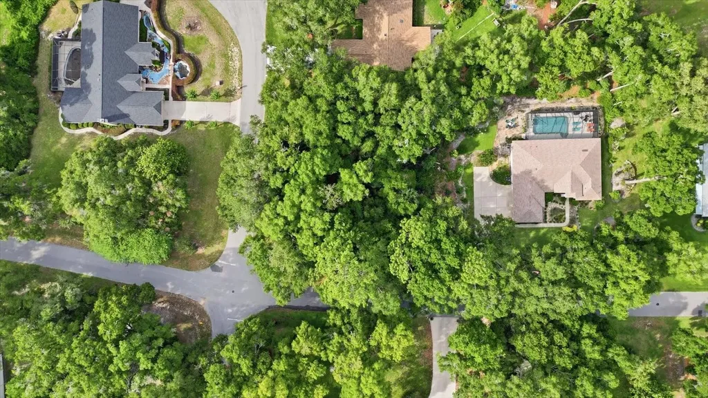 Lot 3 SW 93rd Loop Dunnellon FL 34432