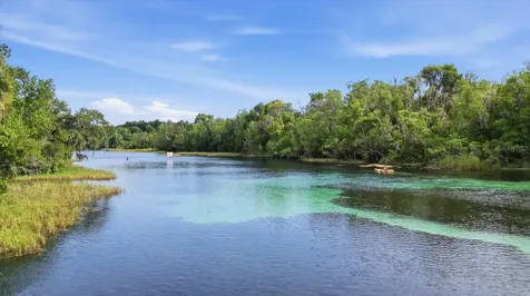 Lot 3 SW 93rd Loop Dunnellon FL 34432