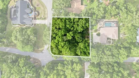 Lot 3 SW 93rd Loop Dunnellon FL 34432