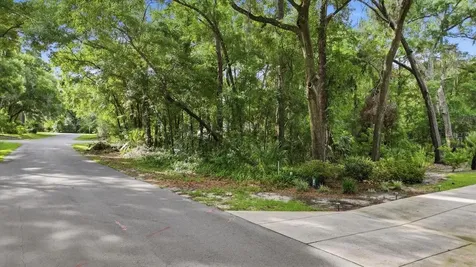 Lot 3 SW 93rd Loop Dunnellon FL 34432