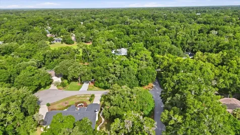 Lot 3 SW 93rd Loop Dunnellon FL 34432