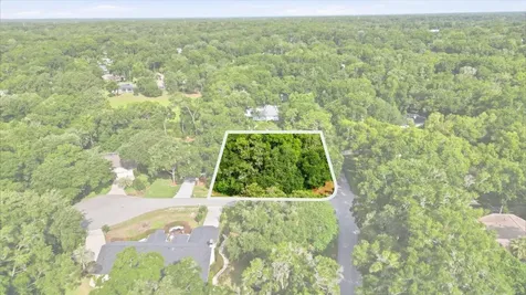 Lot 3 SW 93rd Loop Dunnellon FL 34432