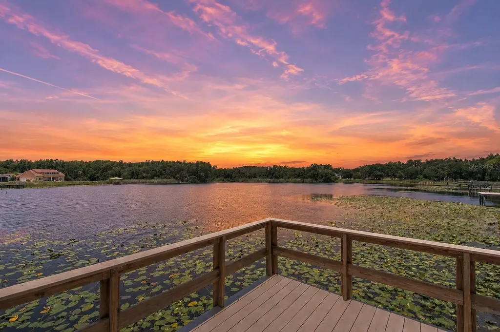 2459 Shorewood Lane Land O Lakes FL 34639