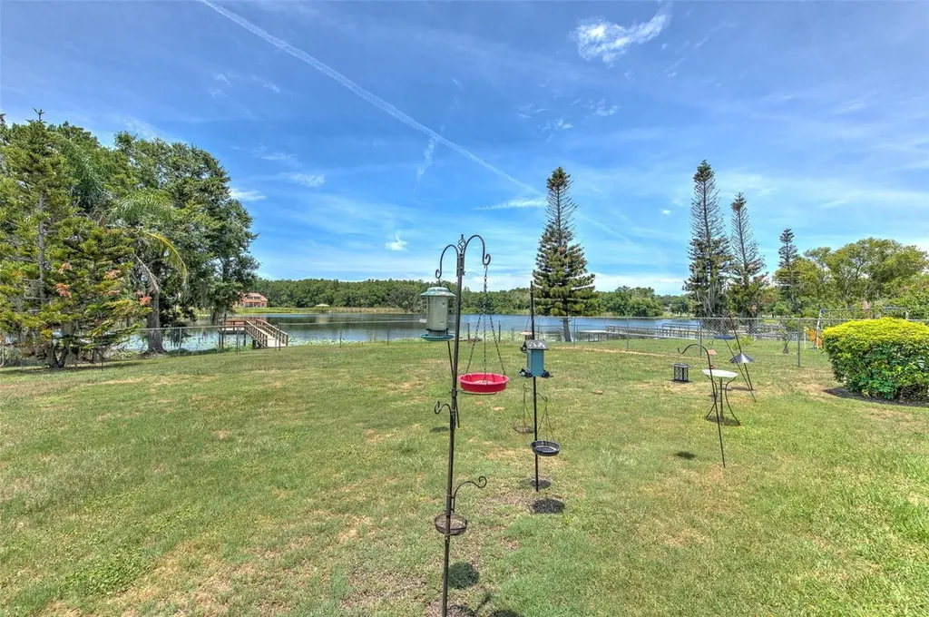 2459 Shorewood Lane Land O Lakes FL 34639