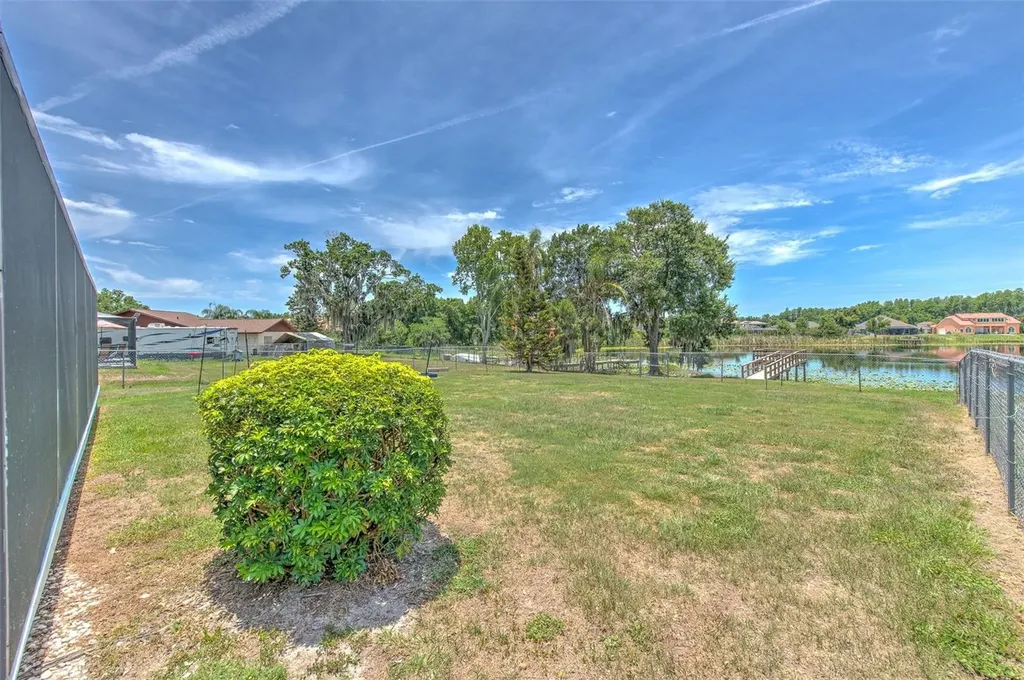 2459 Shorewood Lane Land O Lakes FL 34639