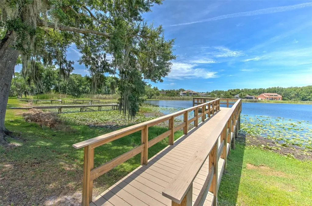2459 Shorewood Lane Land O Lakes FL 34639