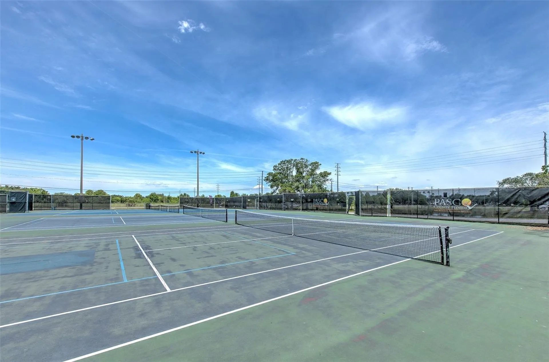 2459 Shorewood Lane Land O Lakes FL 34639