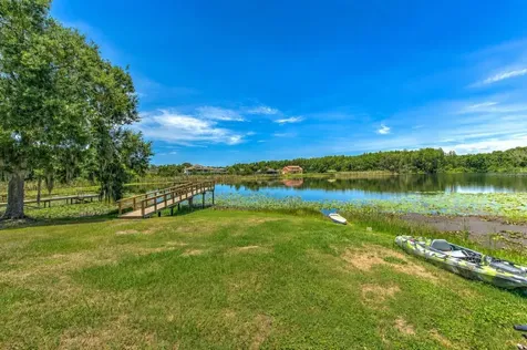 2459 Shorewood Lane Land O Lakes FL 34639