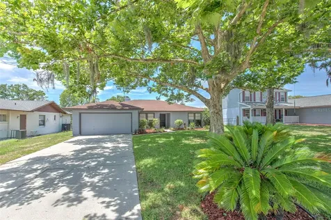 2459 Shorewood Lane Land O Lakes FL 34639