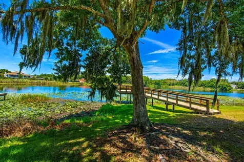 2459 Shorewood Lane Land O Lakes FL 34639