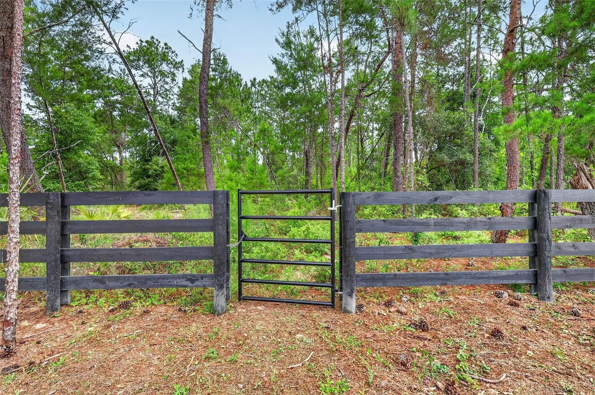 2058 County Road 243f Wildwood FL 34785