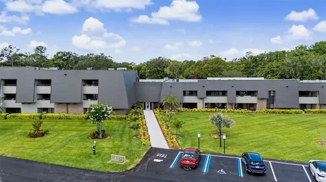 36750 Us Highway 19 N Palm Harbor FL 34683