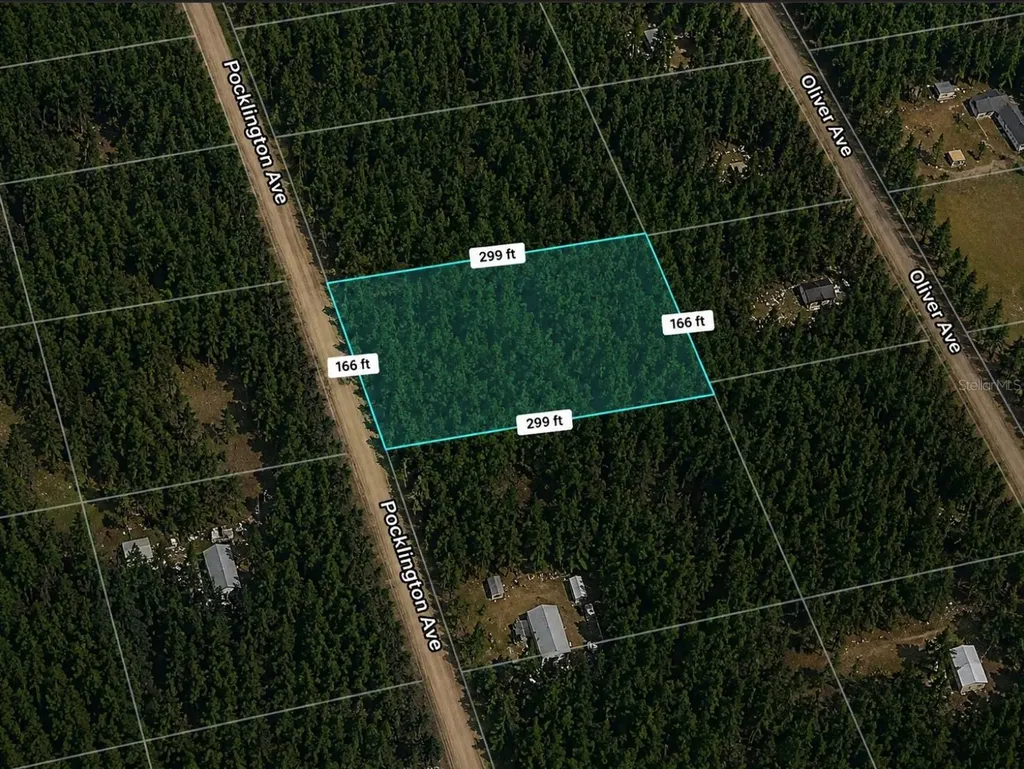 9740 Pocklington Avenue Hastings FL 32145