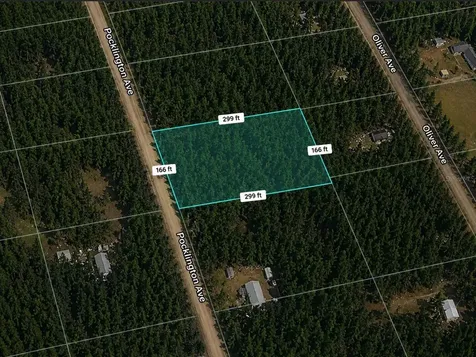 9740 Pocklington Avenue Hastings FL 32145