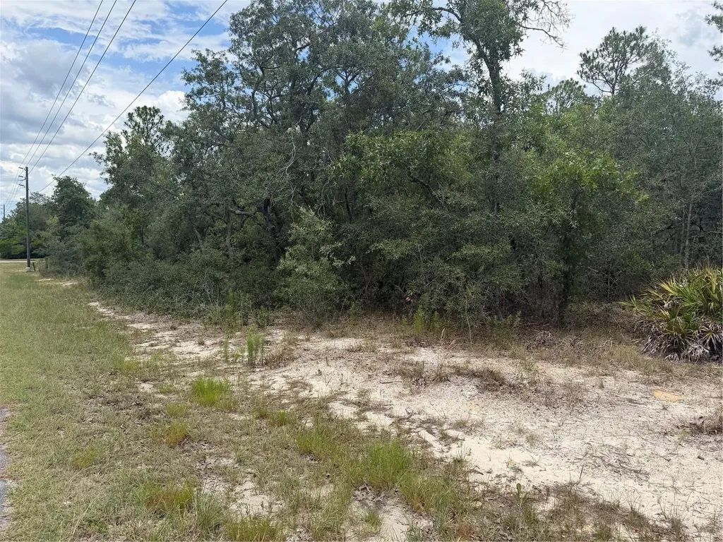 6215 S Premiere Avenue Homosassa FL 34446