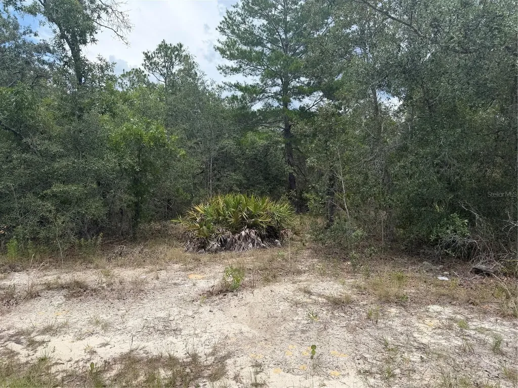 6215 S Premiere Avenue Homosassa FL 34446