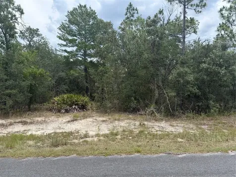 6215 S Premiere Avenue Homosassa FL 34446