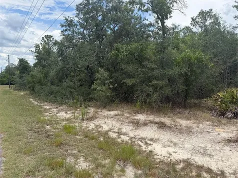 6215 S Premiere Avenue Homosassa FL 34446