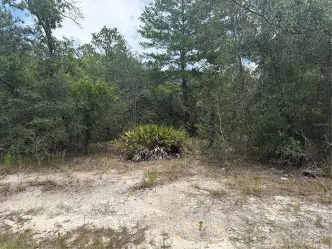 6215 S Premiere Avenue Homosassa FL 34446
