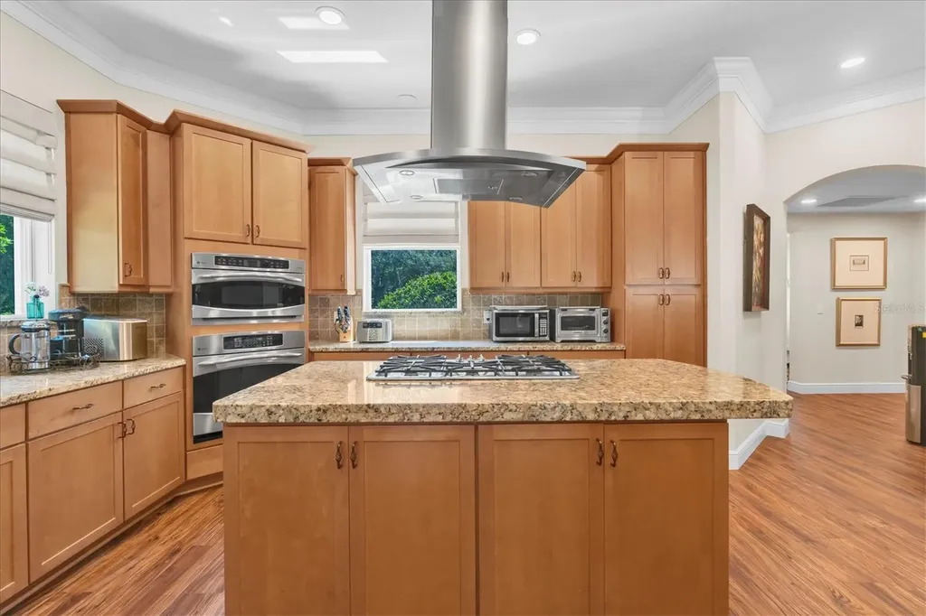 16301 Dunlindale Drive Lithia FL 33547