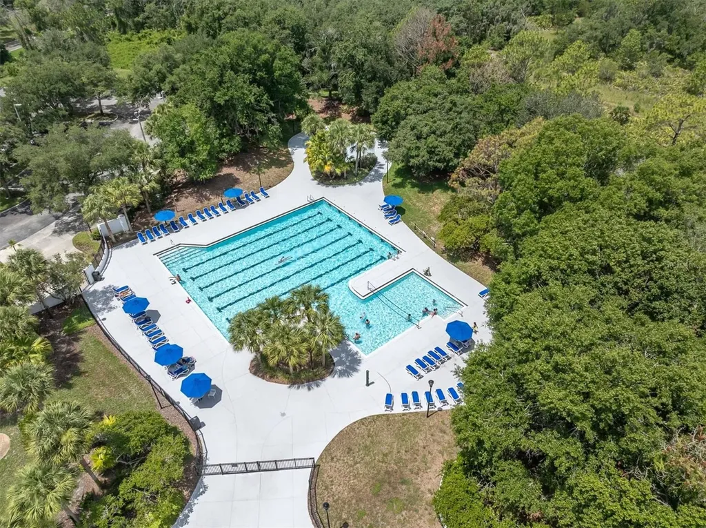 16301 Dunlindale Drive Lithia FL 33547