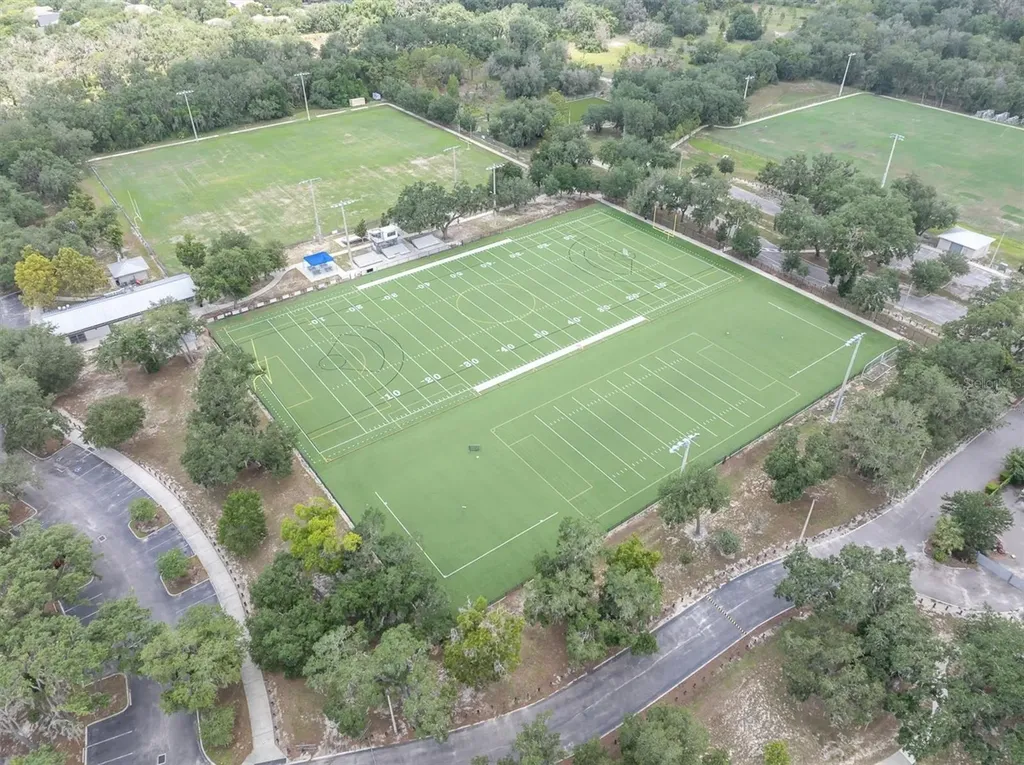 16301 Dunlindale Drive Lithia FL 33547
