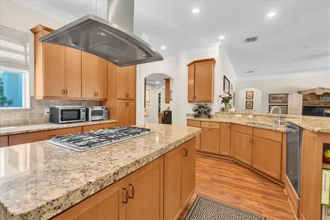 16301 Dunlindale Drive Lithia FL 33547