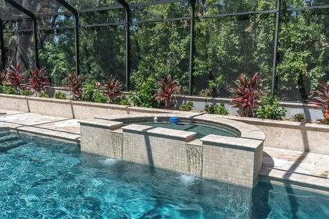 16301 Dunlindale Drive Lithia FL 33547