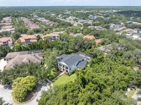 16301 Dunlindale Drive Lithia FL 33547