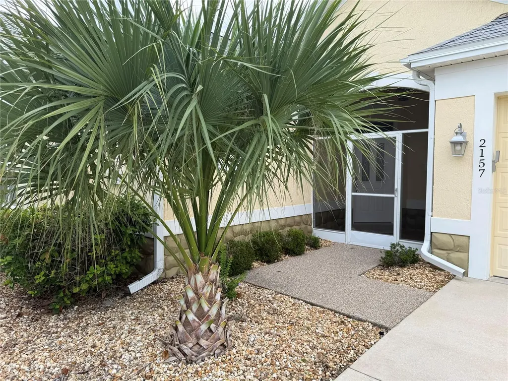 2157 Blackville Drive The Villages FL 32162