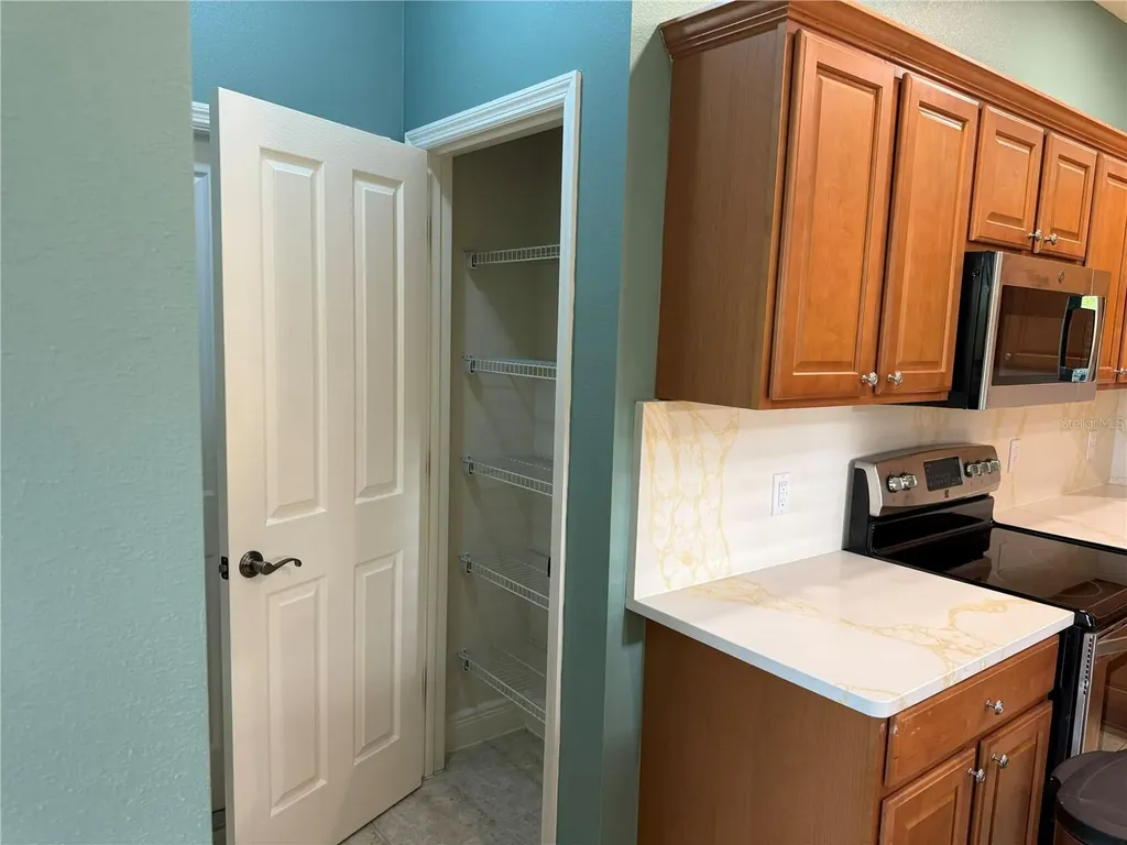 2157 Blackville Drive The Villages FL 32162