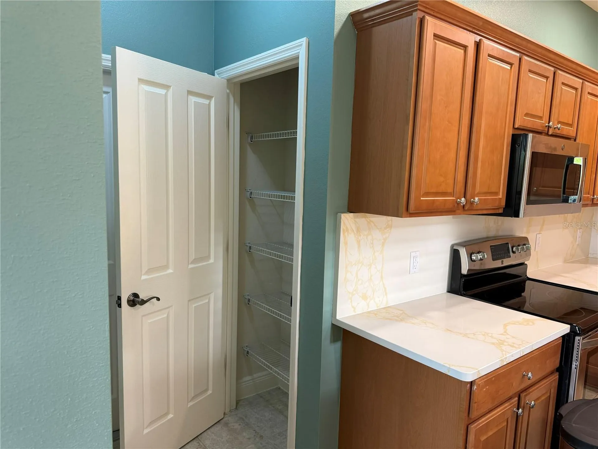 2157 Blackville Drive The Villages FL 32162