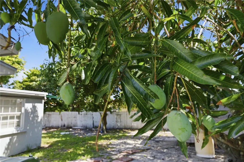 998 W 68th Street Hialeah FL 33014