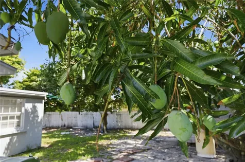 998 W 68th Street Hialeah FL 33014