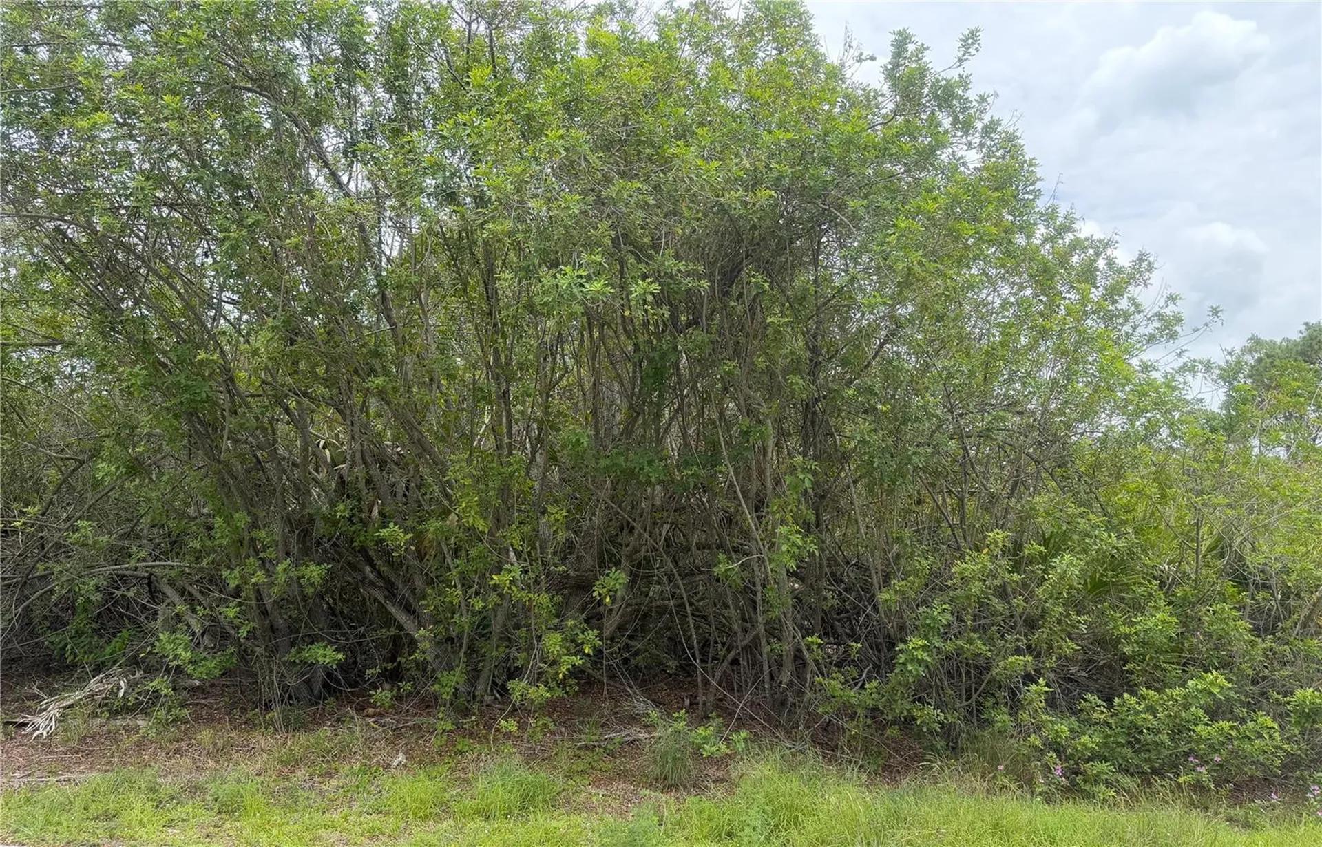 140 Fillmore Avenue Lake Placid FL 33852