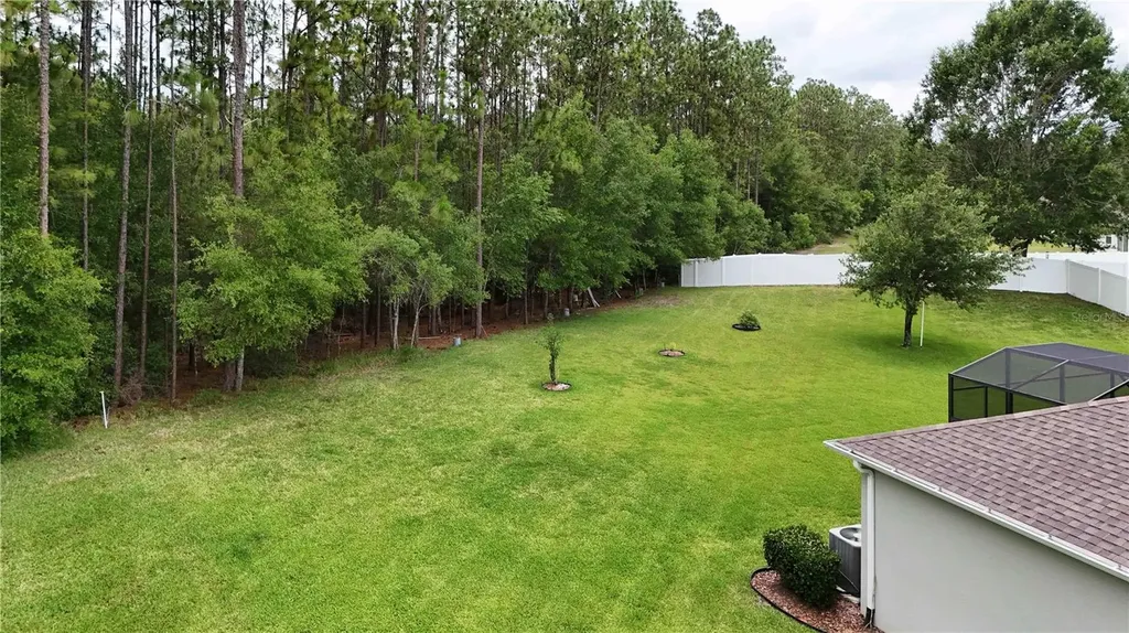 4606 Coppola Drive Mount Dora FL 32757