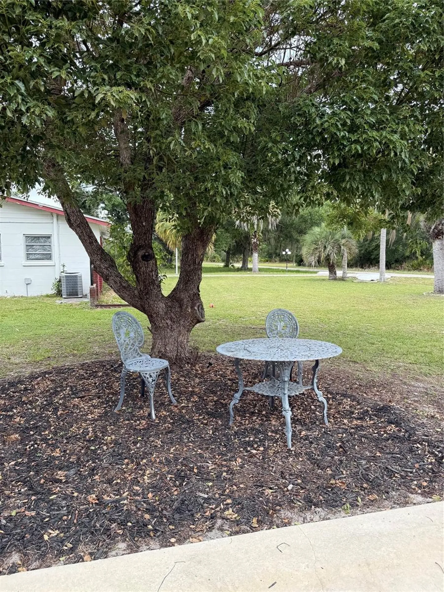 3681 Gardenia Drive Indian Lake Estates FL 33855