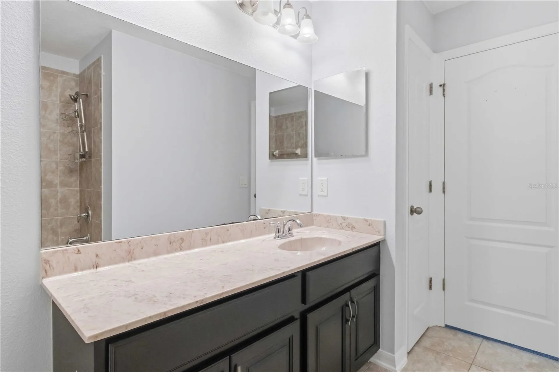 11415 Blue Crane Street Riverview FL 33569